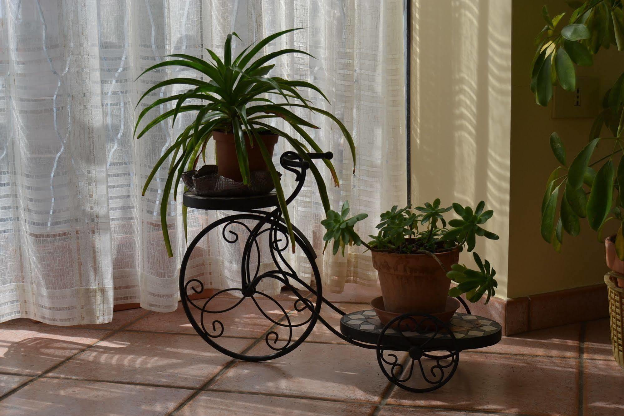 Bed & Breakfast Marena Sant'Agata Li Battiati Buitenkant foto